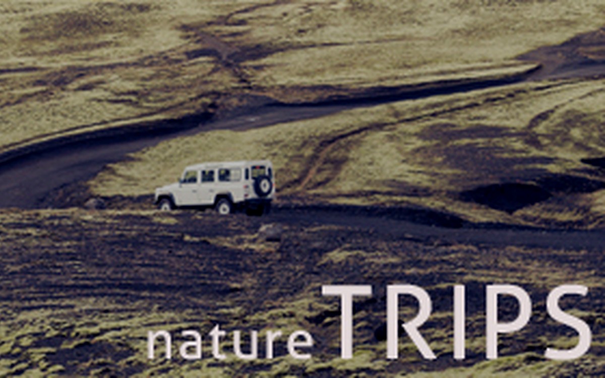 Jeep safari on a winding trail through open landscape